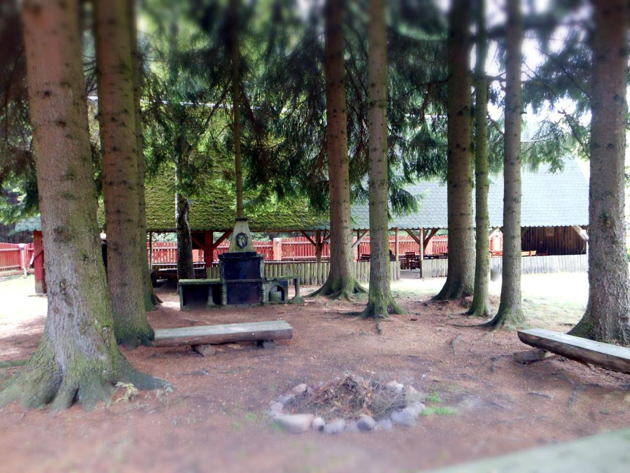 Aparthotel Zadrna Rezydencja Chełmsko Śląskie Exterior foto