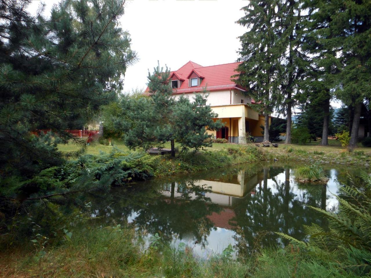Aparthotel Zadrna Rezydencja Chełmsko Śląskie Exterior foto